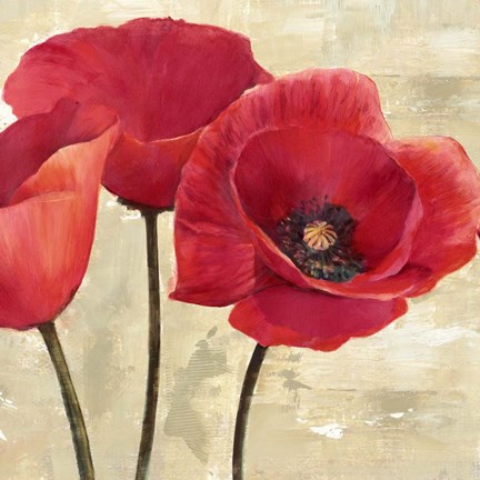 Framed Red Poppies (Detail) Print