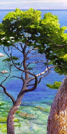 Framed Lavandou II Print