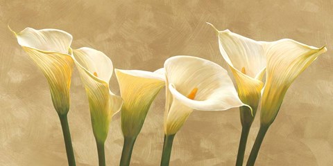 Framed Calle Bianche Print