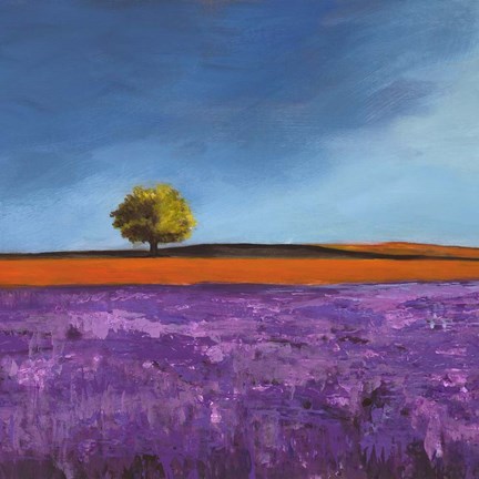 Framed Field of Lavender (Detail) Print