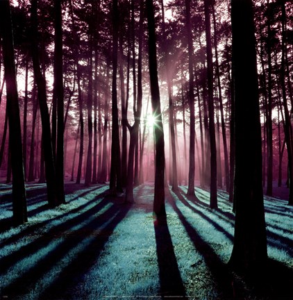 Framed Technicolor Trees 3 Print