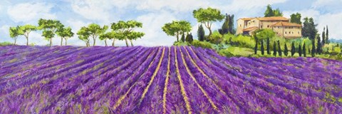 Framed Campagna Provenzale Print