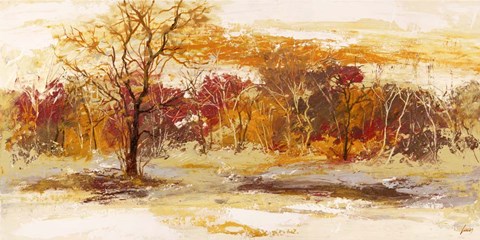 Framed Foresta II Print