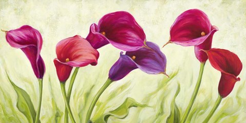 Framed Calle Danzanti Print