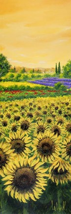 Framed Girasoli e Lavanda Print