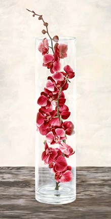 Framed Arrangement of Orchids Print