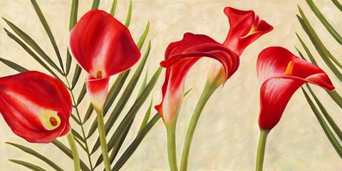 Framed Red Callas Print