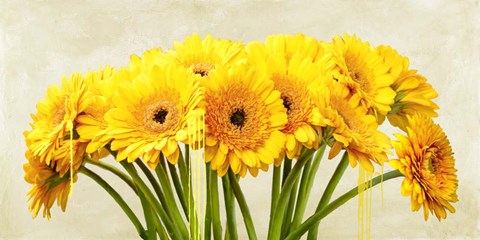 Framed Gerbera Abstraction Print