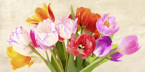 Framed Tulips in Spring Print
