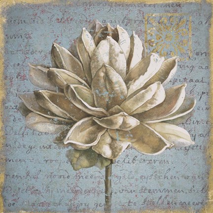 Framed Seed Pod I Print