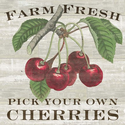 Framed Farm Fresh Cherries I Print
