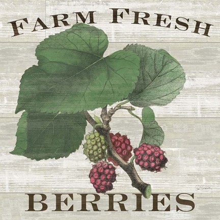 Framed Farm Fresh Berries I Print