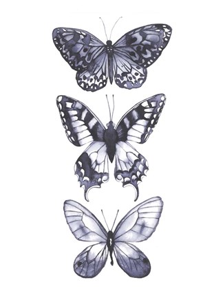 Framed Monochrome Butterflies I Print