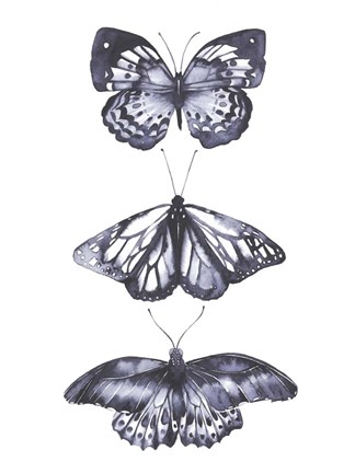 Framed Monochrome Butterflies II Print