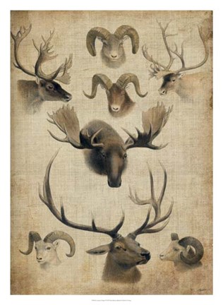 Framed American Trophy I Print