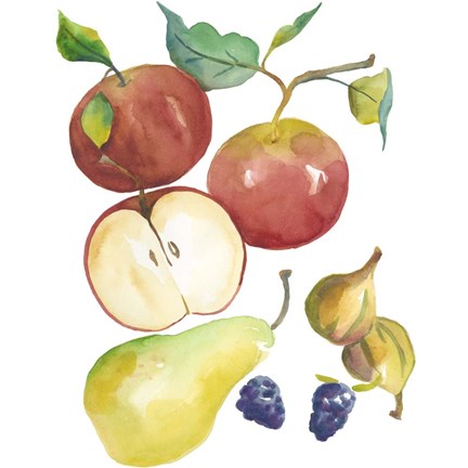 Framed Harvest Medley II Print