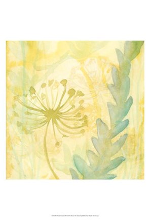 Framed Florid Garden II Print