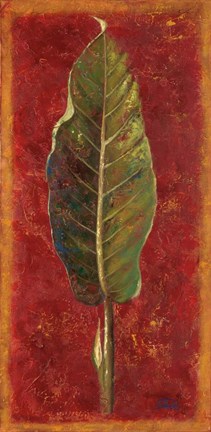 Framed Caliente II Print