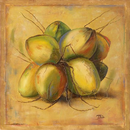 Framed Cocos Locos I Print