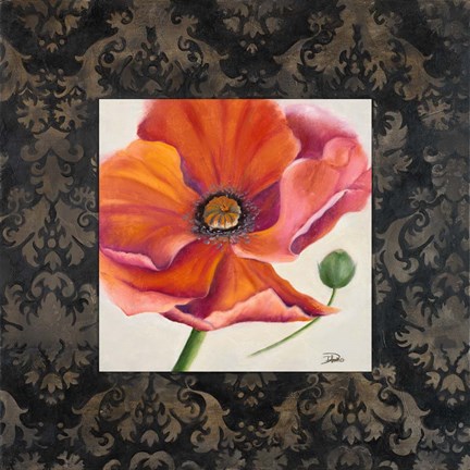 Framed Poppy Flower II Print
