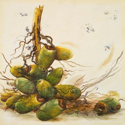 Framed Racimo de Cocos I Print