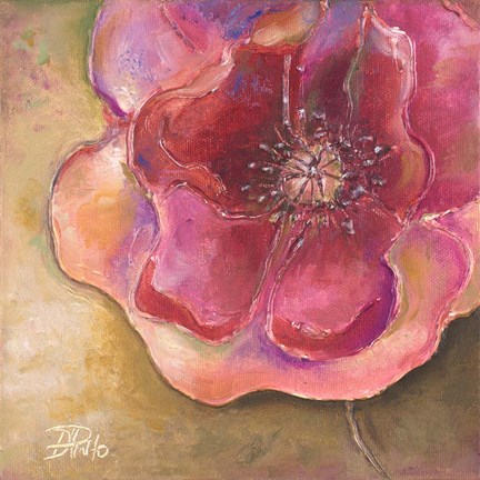 Framed Pink Accent II Print