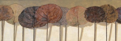 Framed Leaves Show I Print