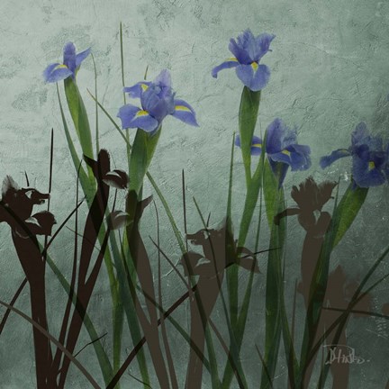 Framed Blue Irises I Print