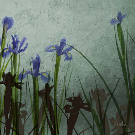 Framed Blue Irises II Print