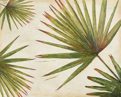 Framed Organic I (Detail) Print