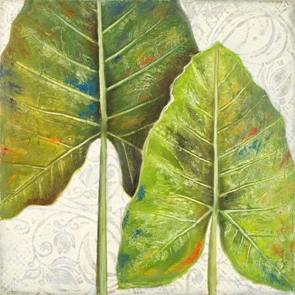 Framed Mafafa II Print