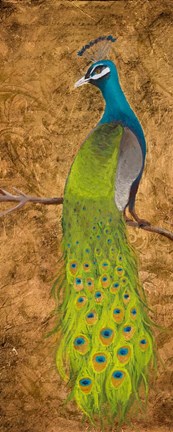 Framed Peacocks I Print