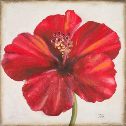 Framed Red Hibiscus Print