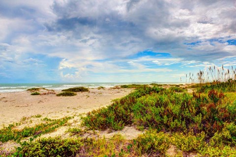 Framed Beach Island II Print