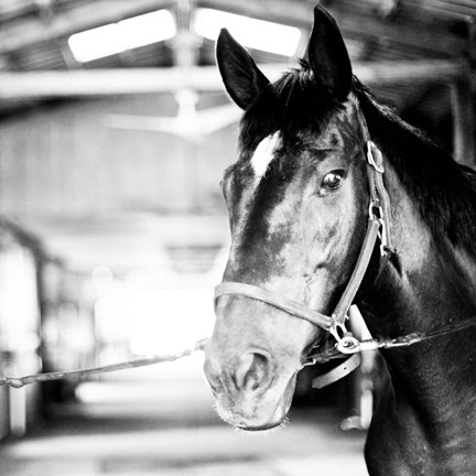 Framed Derby Square I Print