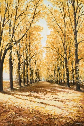 Framed Falls Cathedral Print