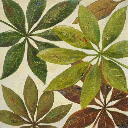 Framed Green Touch II Print