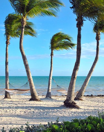 Framed Shoreside Retreat Print