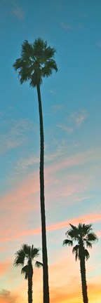 Framed Sunset Palms Print