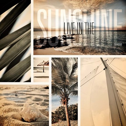 Framed Coastal Collage I Print