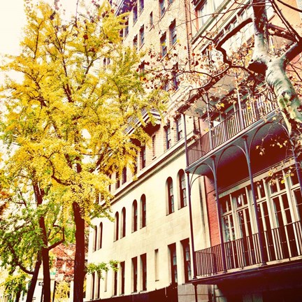 Framed Chelsea Afternoon II Print