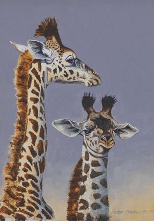 Framed Two Young Giraffes Print
