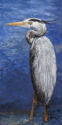 Framed Into the Pond I Print