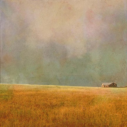 Framed After the Rain Print