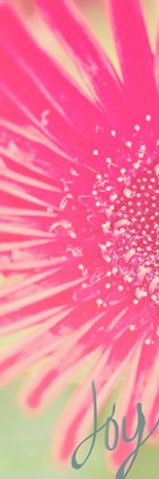 Framed Joy Flower Print