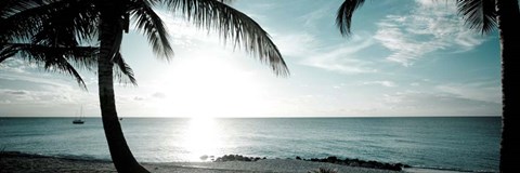 Framed Cool Bimini II Print