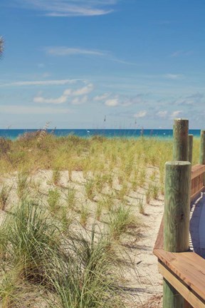 Framed Coast Dock II Print