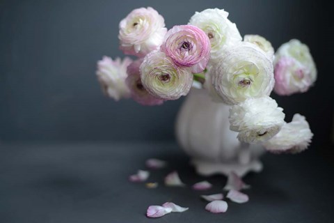 Framed Subtle Beauty Print