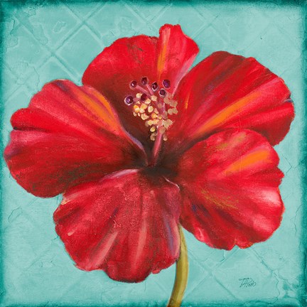 Framed Joyful Hibiscus Print