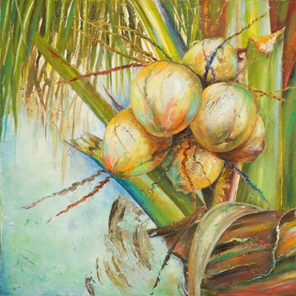 Framed Patricia&#39;s Coconuts II Print